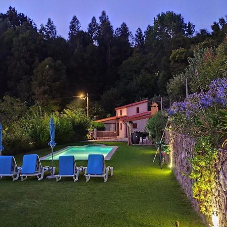 Casa Do Ribeiro Villa Sever do Vouga Luaran gambar