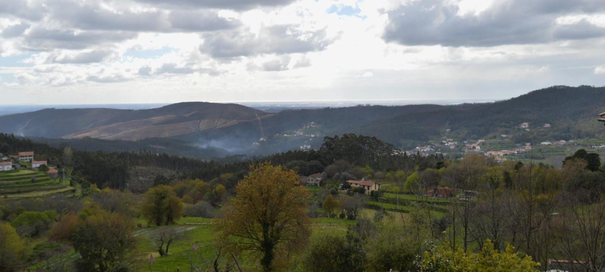 Casa Do Ribeiro Villa Sever do Vouga Luaran gambar